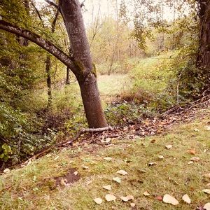 Meet your Posher, Diego